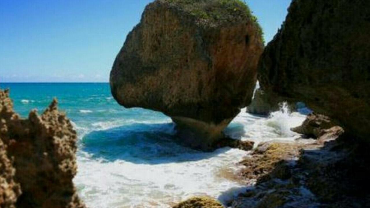 Palmeras Del Mar Isabela Exterior photo