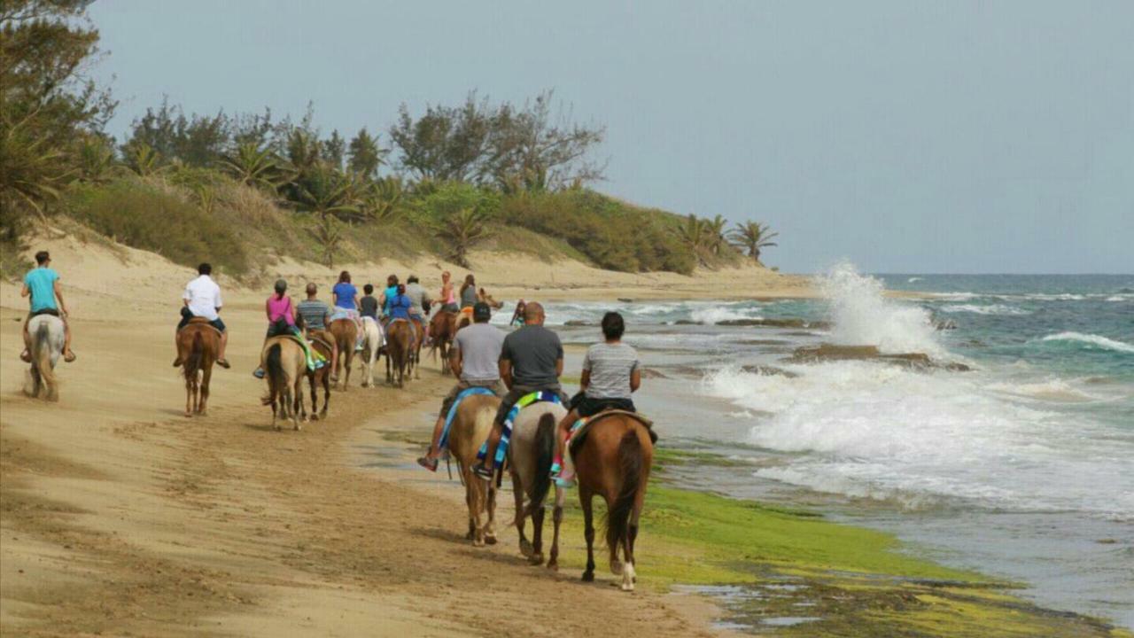 Palmeras Del Mar Isabela Exterior photo