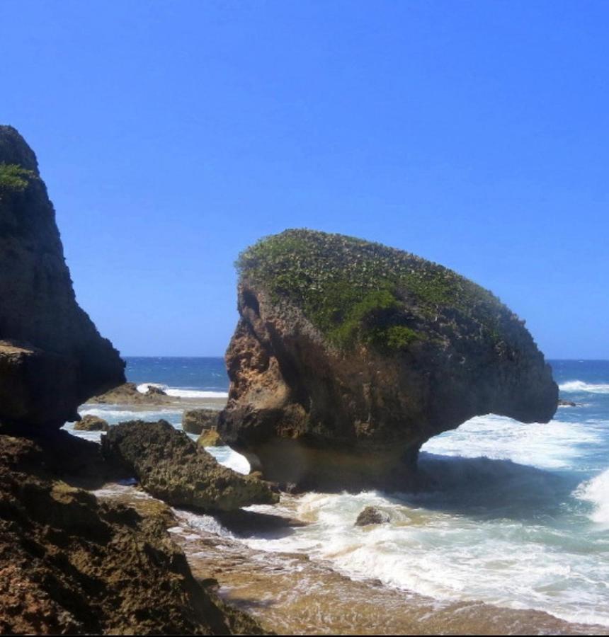 Palmeras Del Mar Isabela Exterior photo
